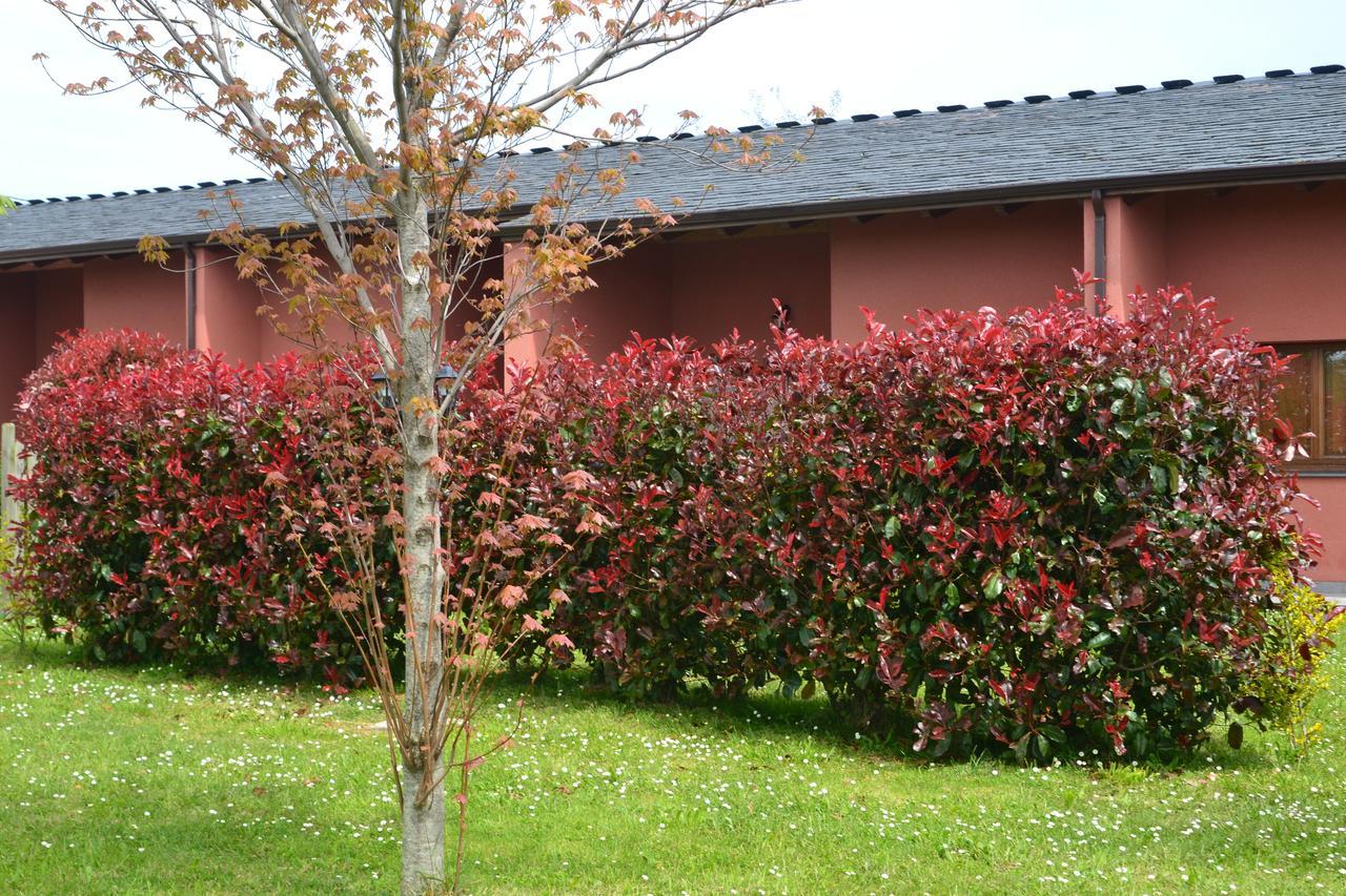 Apartamentos El Guindal Tapia De Casariego Bagian luar foto